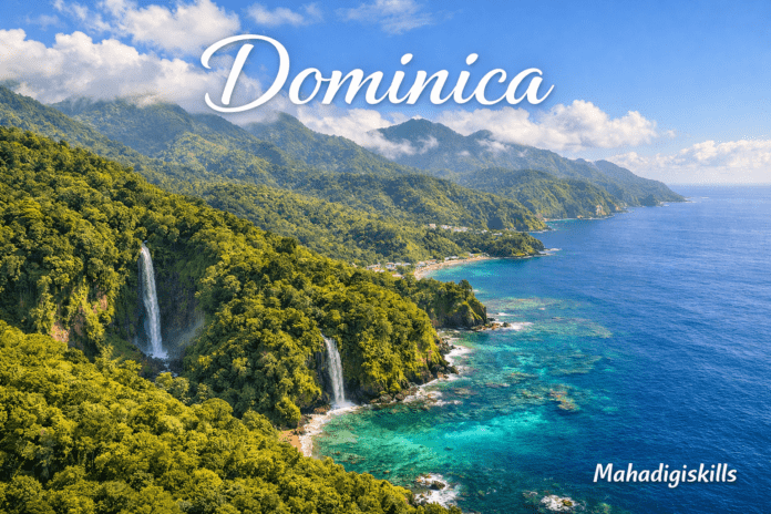 Dominica Caribbean island rainforest mountains and coastline aerial view