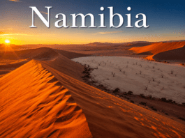 121.Namibia Complete Travel, Culture & History Guide Namibia Sossusvlei red sand dunes and Deadvlei desert landscape at sunset