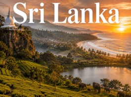 Tropical beaches, tea plantations, and ancient temples in Sri Lanka at sunset