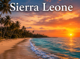 Tropical Atlantic beach coastline in Sierra Leone with palm trees at sunset
